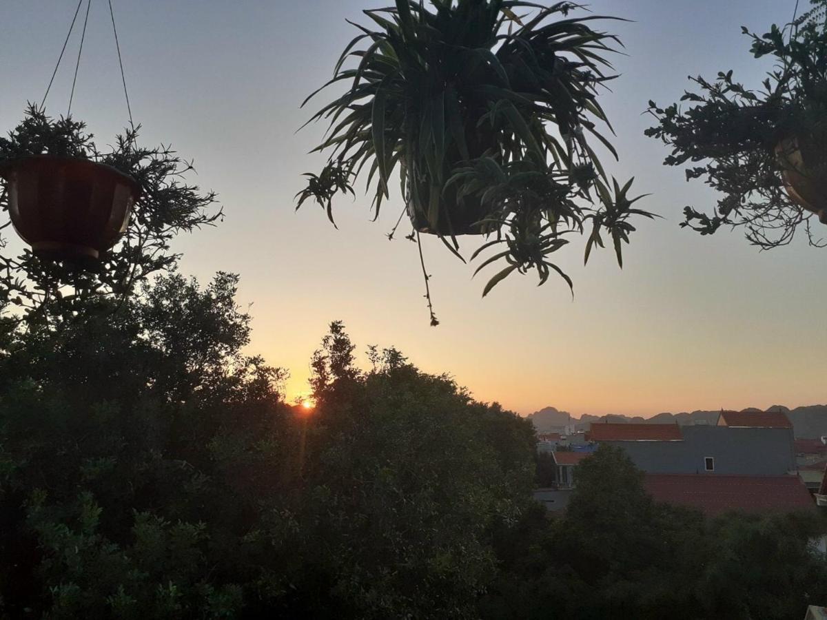Tam Coc Sunset Homestay ニンビン エクステリア 写真