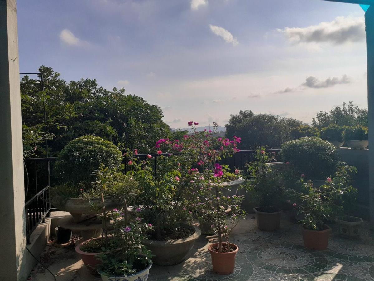 Tam Coc Sunset Homestay ニンビン エクステリア 写真