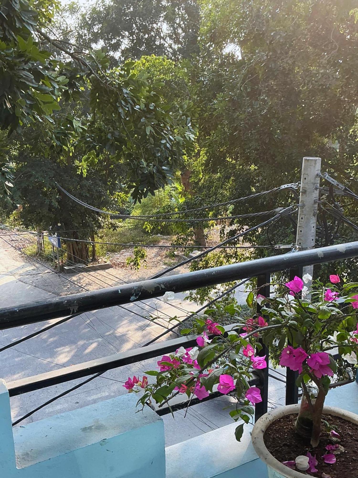 Tam Coc Sunset Homestay ニンビン エクステリア 写真