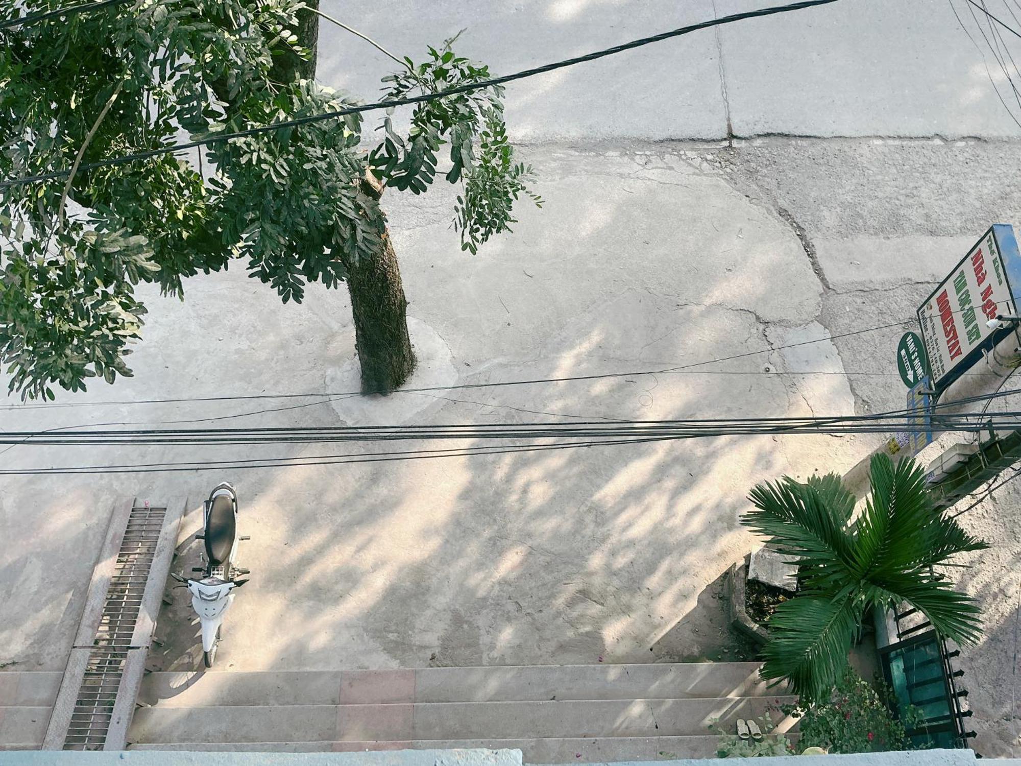 Tam Coc Sunset Homestay ニンビン エクステリア 写真